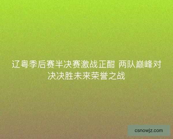 辽粤季后赛半决赛激战正酣 两队巅峰对决决胜未来荣誉之战